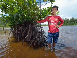 boy stands next to mangroves in the water