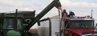 grain being loaded into semi truck