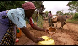 video resource image; a woman pours water into a can